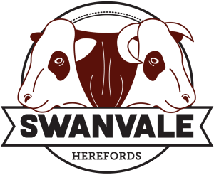 swanvale_logo